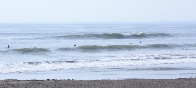 2019/8/1(木)波情報_ハラ〜ムネ【2019夏のボーナスキャンペーン開催中】【CATCH SURF2019モデル発売中】 2019/8/1(木)波情報_ハラ〜ムネ【2019夏のボーナスキャンペーン開催中】【CATCH SURF2019モデル発売中】
