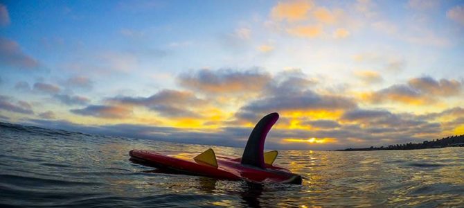 【NAKISURF Weeklyニュース】お得がイチバン!ただいま開催中のキャンペーンをご紹介♪ 【NAKISURF Weeklyニュース】お得がイチバン!ただいま開催中のキャンペーンをご紹介♪