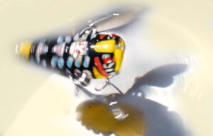 デカーナ・トイ / ＮＡＫＩＳＵＲＦレイバン模様 ３/８オンス　 - 画像 (2)